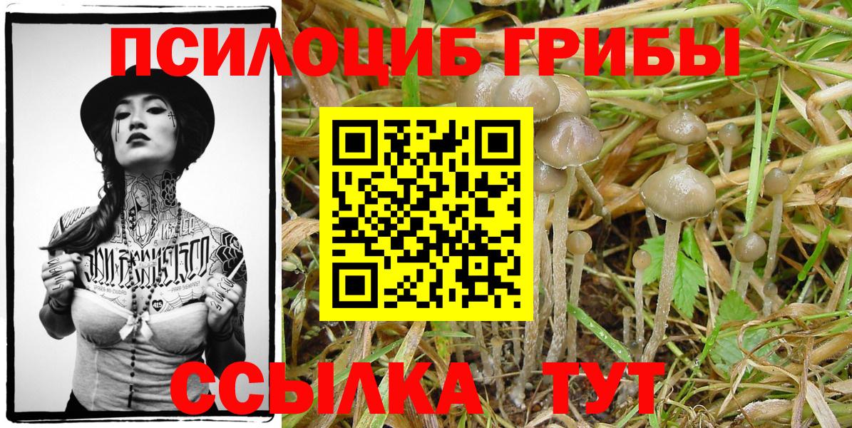 Галлюциногенные грибы Magic Shrooms Якутск